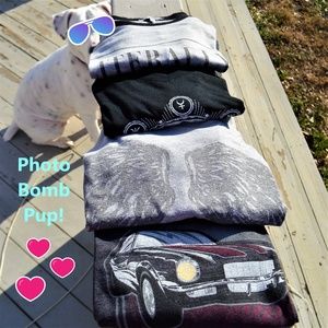 Graphic T-Shirts So Soft Set of 4